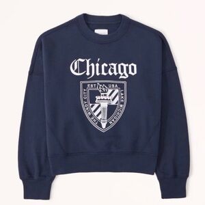 Abercrombie & Fitch Chicago Academia style pullover